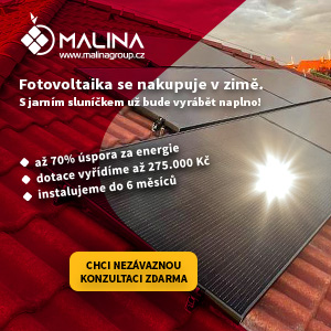 Malina banner 02 300x300 [2022-11-16]