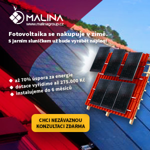 Malina banner 01 300x300 [2022-11-16]